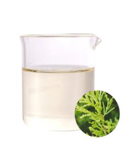 Cupressus Sempervirens (Cypress) Oil
