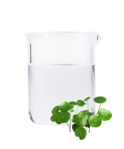 Organic Gotu Kola Pure Dew​ (Centella asiatica)-India