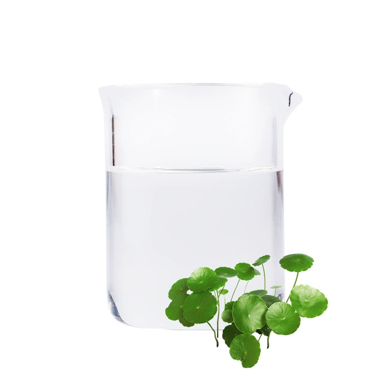 Organic Gotu Kola Pure Dew (Centella asiatica)-India