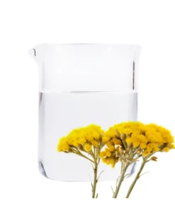 Organic Helichrysum Pure Dew​ (Helichrysum italicum) - France