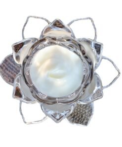 Rose & Snow Lotus Radiance Cream