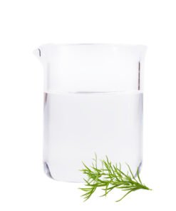 Organic Tea Tree Pure Dew​ (Melaleuca alternifolia) - Australia