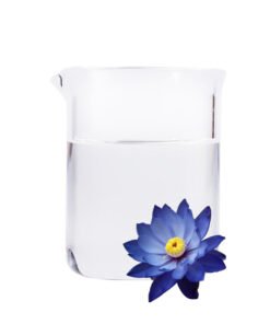 Organic Blue Lotus Pure Dew​ (Nymphaea caerulea) - Thailand