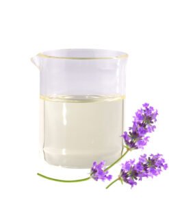Lavandula Angustifolia (Lavender) Oil