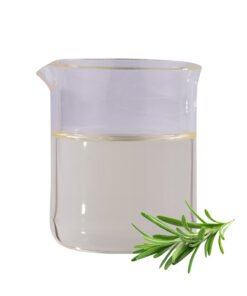 Rosmarinus Officinalis (Rosemary) Oil