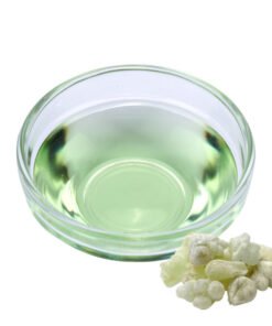 Boswellia Sacra (Oman Frankincense) Oil